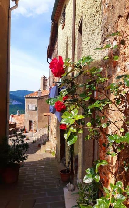 Casa Il Girasole Villa Boccheggiano Dış mekan fotoğraf