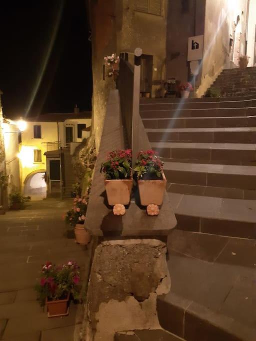 Casa Il Girasole Villa Boccheggiano Dış mekan fotoğraf