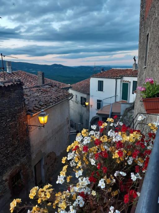 Casa Il Girasole Villa Boccheggiano Dış mekan fotoğraf