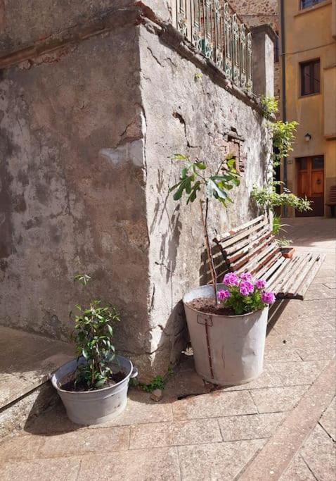 Casa Il Girasole Villa Boccheggiano Dış mekan fotoğraf