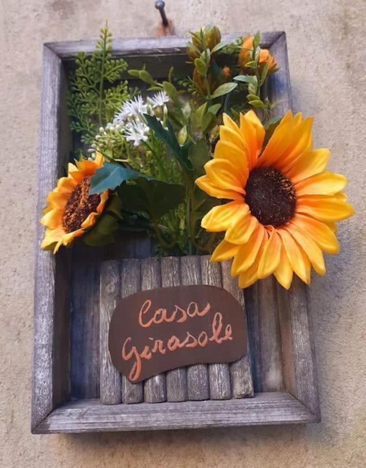 Casa Il Girasole Villa Boccheggiano Dış mekan fotoğraf