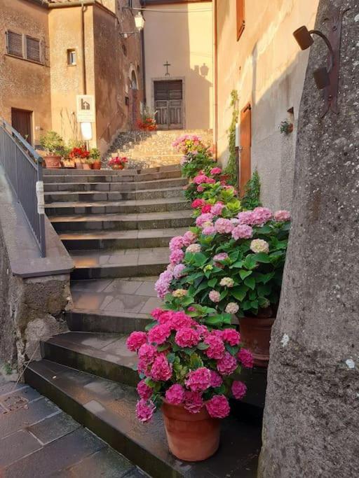 Casa Il Girasole Villa Boccheggiano Dış mekan fotoğraf